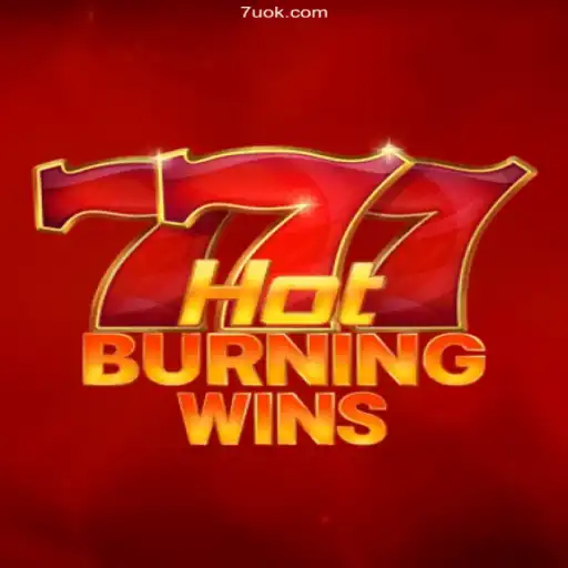 Discover the Exciting World of HotBurningWins: A Thrilling Cassino Experience